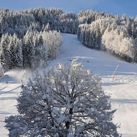 Proche Centre Et Pistes Pour 4 Pers. à - Fr-1-684-63 * Morzine
